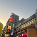 소우주 | 30대 감성 제대로 저격한 수원 방탈출, 소우주 영포에버 후기