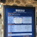 바우길 16구간 | [강릉여행] (2편) 강릉 10월-11월 가을 나홀로 여행 2박3일 코스 추천