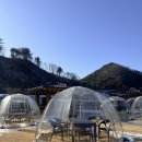 151하우스 | 홍천 신상 카페 길151 한옥카페 데이트 및 빵 맛집