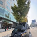 VIP9 스프린터로 진행한 외국 바이어 의전 후기