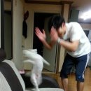 피프티스튜디오 원본수령 후기 🥰 피프티 강강추
