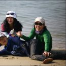 도삼 티스토리