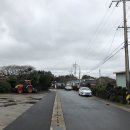 페퍼민트민박 이미지