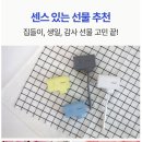 윈디커피 | 핸드크림은 지겨울 때! 센스 있는 무난한 선물, 클린디 휴대용 무선 칫솔살균기 윈디 화이트 솔직 후기