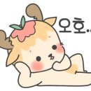 에스이골프 이미지