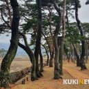 용반마을 이미지