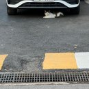 이엔위즈 | 260413-260419 너 내가 야구 선수야?! 학생이야?! 백수잖아!!!