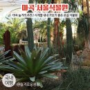 이마트24마곡골든점 | 마곡 서울식물원 / 마곡 놀거리 / 온실에서 열대 식물, 지중해 식물 구경하기