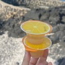 나른 스테이 이미지