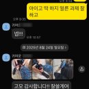 찬스헤어 | 돈모 천연브러쉬 멧돼지 털 특가 찬스 헤어 관리 꿀팁 내돈내산 후기