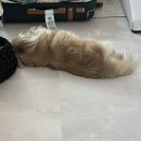 쉼멍스테이 네이버블로그