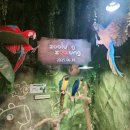 하남유니온로 | [서울 근교] 실내에 동물원이 있다고?! 하남 주렁주렁 후기 🦜