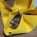 은마로동물병원 이미지