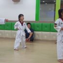 연현태권도 이미지