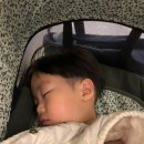 자루헤어
