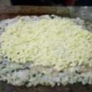 황금오리 이미지