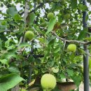 청송얼음골힐링민박 이미지