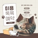 묘감 이미지