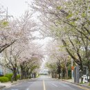 위미2리 마을회관 이미지