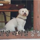 시월이 분량 ~~ 이미지