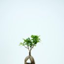 관모초등학교 이미지