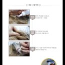 반려동물미용실 언니네 이미지