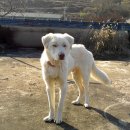 달성공원 이미지