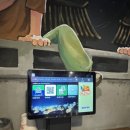 참나무장작구이통닭 이미지