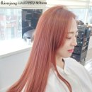핑크미용실 이미지