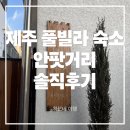 안팟거리