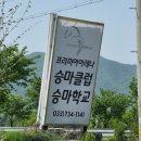 프리미어아레나승마클럽 이미지