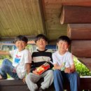 제주도 로그밸리펜션 무료 승마