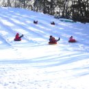 파인 관광농원 이미지