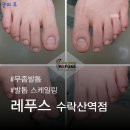 레푸스 수락산역점 이미지