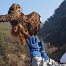 경북야생동물구조관리센터 이미지