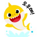 더블유이 이미지