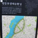 안양천고수부지 Daum카페