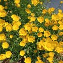 홍천중앙시장 이미지