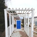 무주펜션꿈꾸는 나무별 | 무주 반디랜드 근처 맛집 무주스키장펜션 무주펜션 꿈꾸는나무별