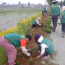 둔포농협미곡종합처리장 이미지