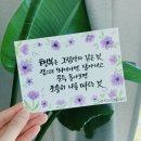 에그플스토리 이미지