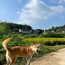 (주)우다다 이미지