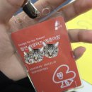 [마포청년나루] 2025 청춘어람×나루호 연합발대식 후기🥳🍀
