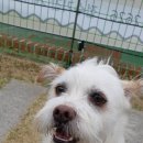 산책가는길 이미지