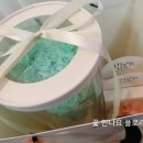 플로라온 이미지