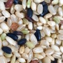 고대미농장 이미지