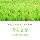 로하스식품 이미지