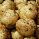 “냉장보관” 절대 하지 마세요, 독성물질 나오는 음식 5가지... 이미지