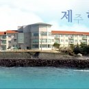 한국콘도 한식당 티스토리