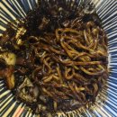 CU문화호수점 | 인스파이어 푸드코트 맛집 추천 | 오아시스 고메빌리지 중식 창창 메뉴 주차